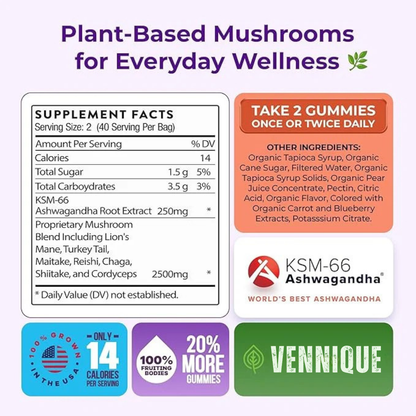 Stress & Energy Support Gummies